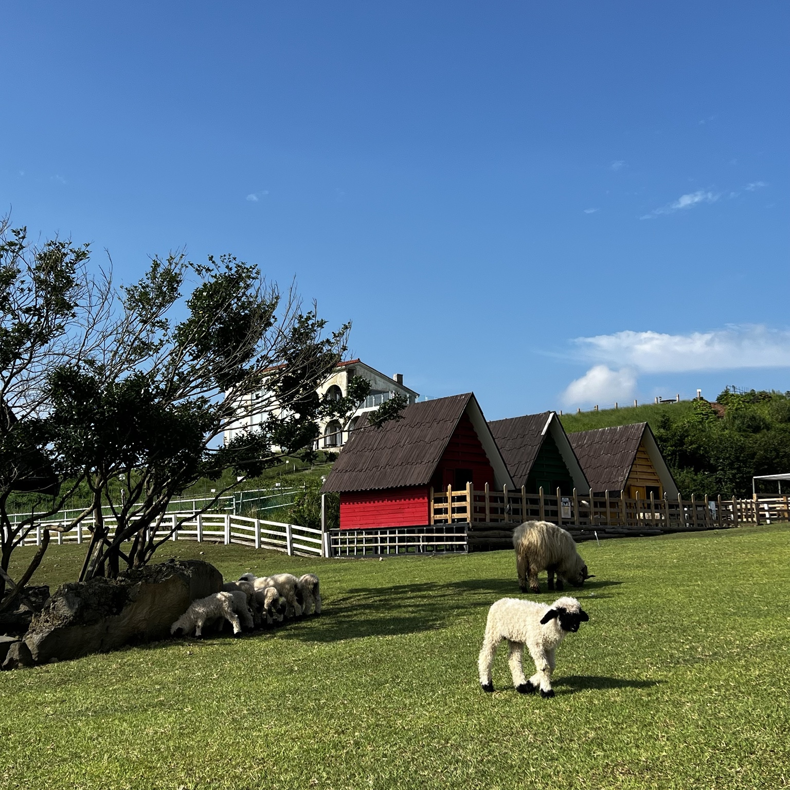 ZooWorld Korea